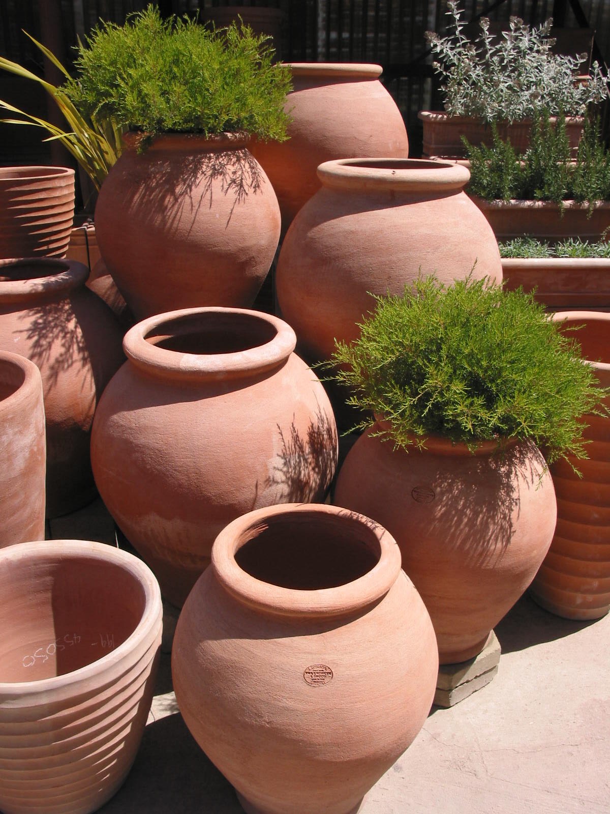 Italian Terracotta - Eye of the Day Garden Design Center