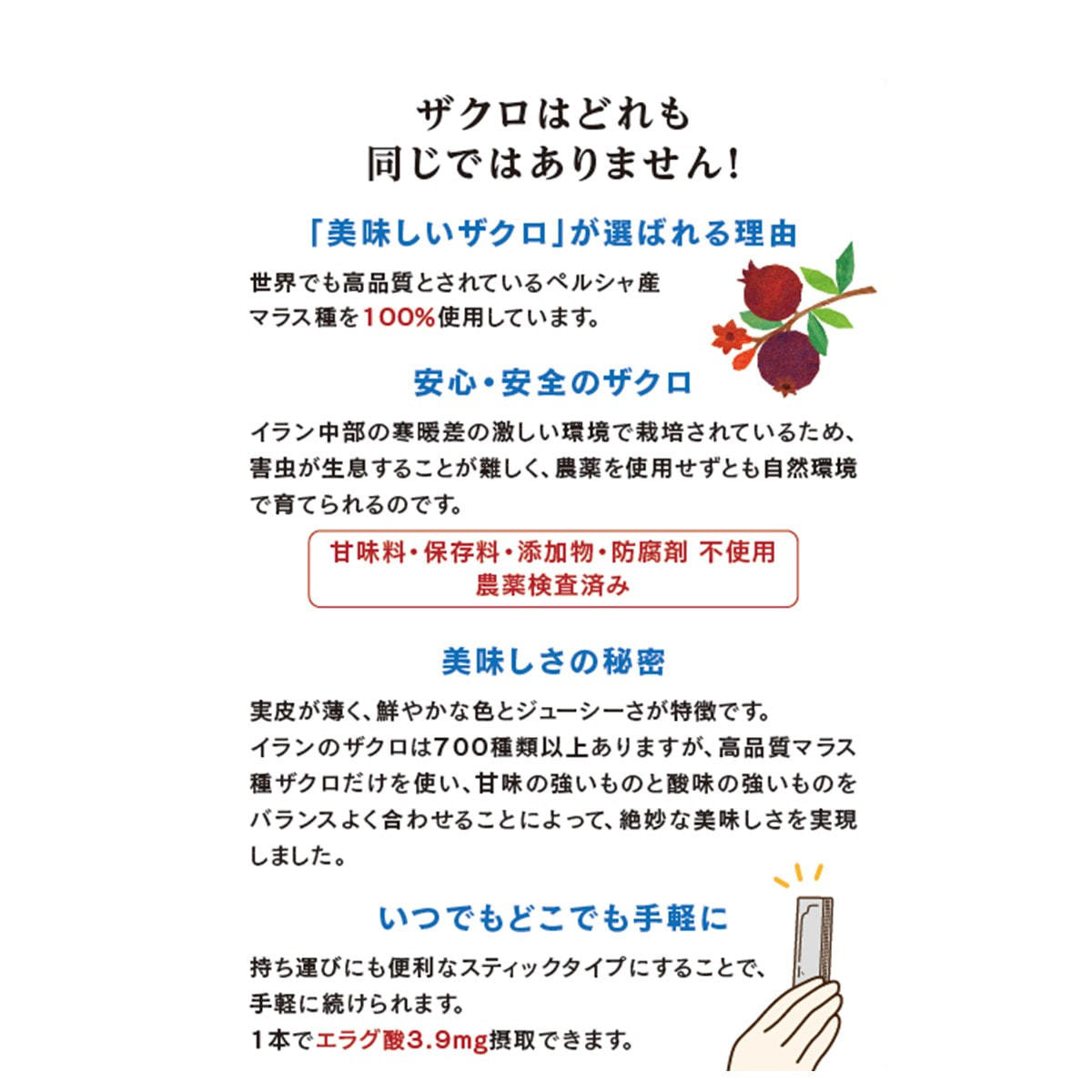 美味しいザクロ 300g（10g×30包）の通販・卸売り | アイラッシュガレージ