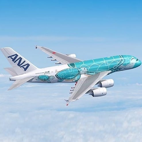 All Nippon ANA Airways Sea Turtle 