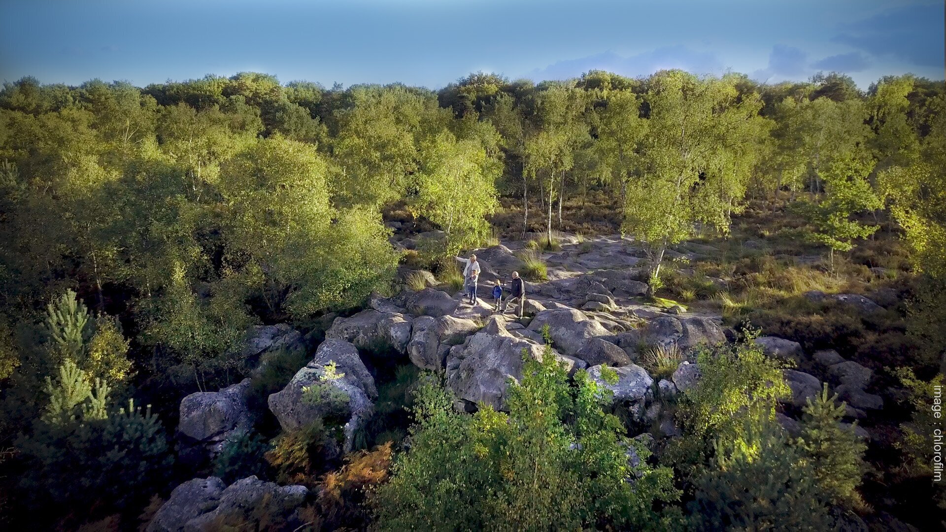 The forest - Fontainebleau Tourisme - Fontainebleau Tourisme