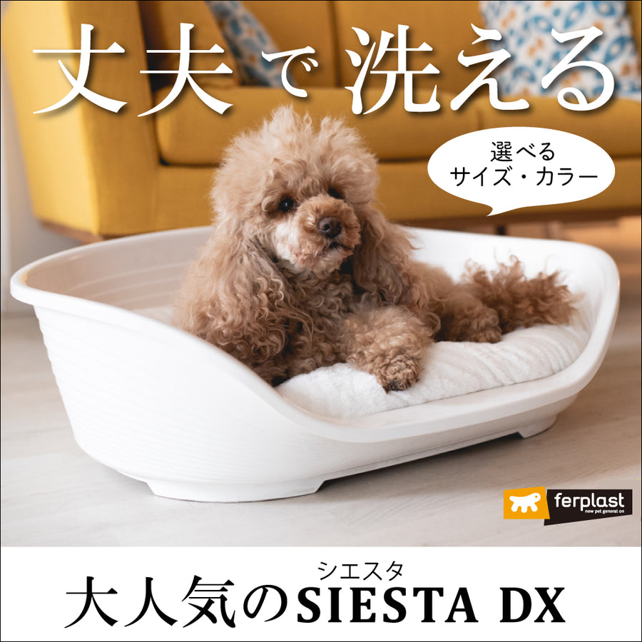 洗える丈夫なベット プラスチック ベッド SIESTA DX シエスタ