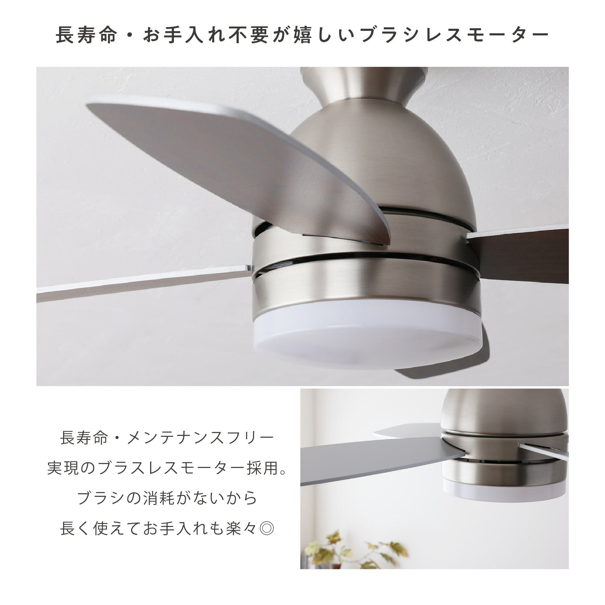 あす着] シーリングファンライト 傾斜天井対応 LED リモコン付 DC