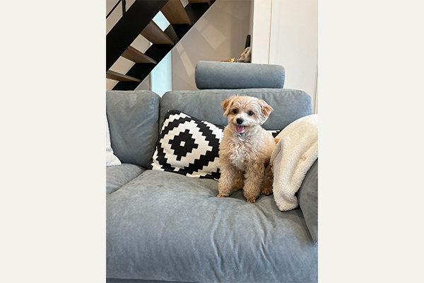 ANTOS 3人掛け | お客様の声 | ソファ専門店FLANNEL SOFA