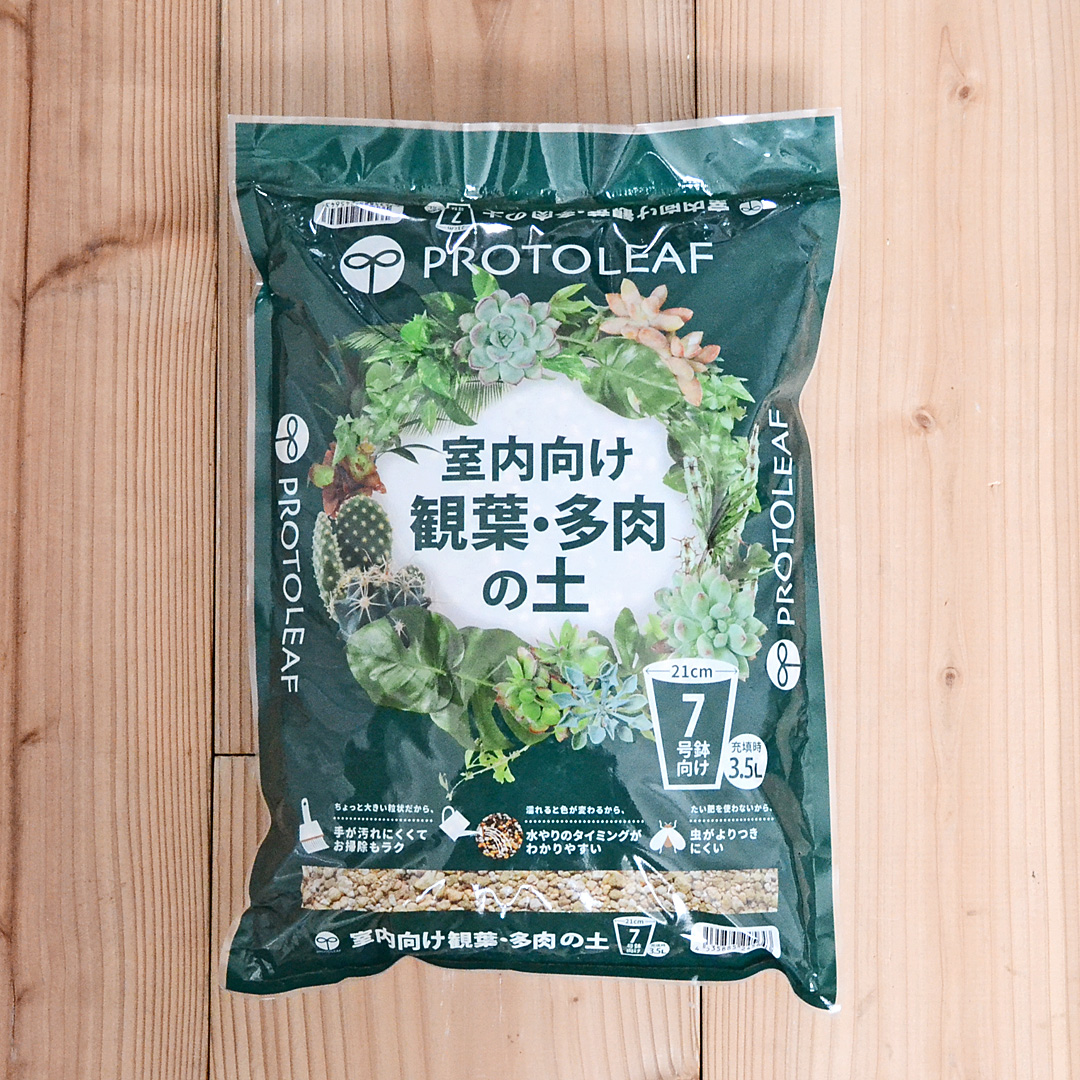 観葉植物の販売・ギフトならフラワーコーポレーション / 室内向け 観葉