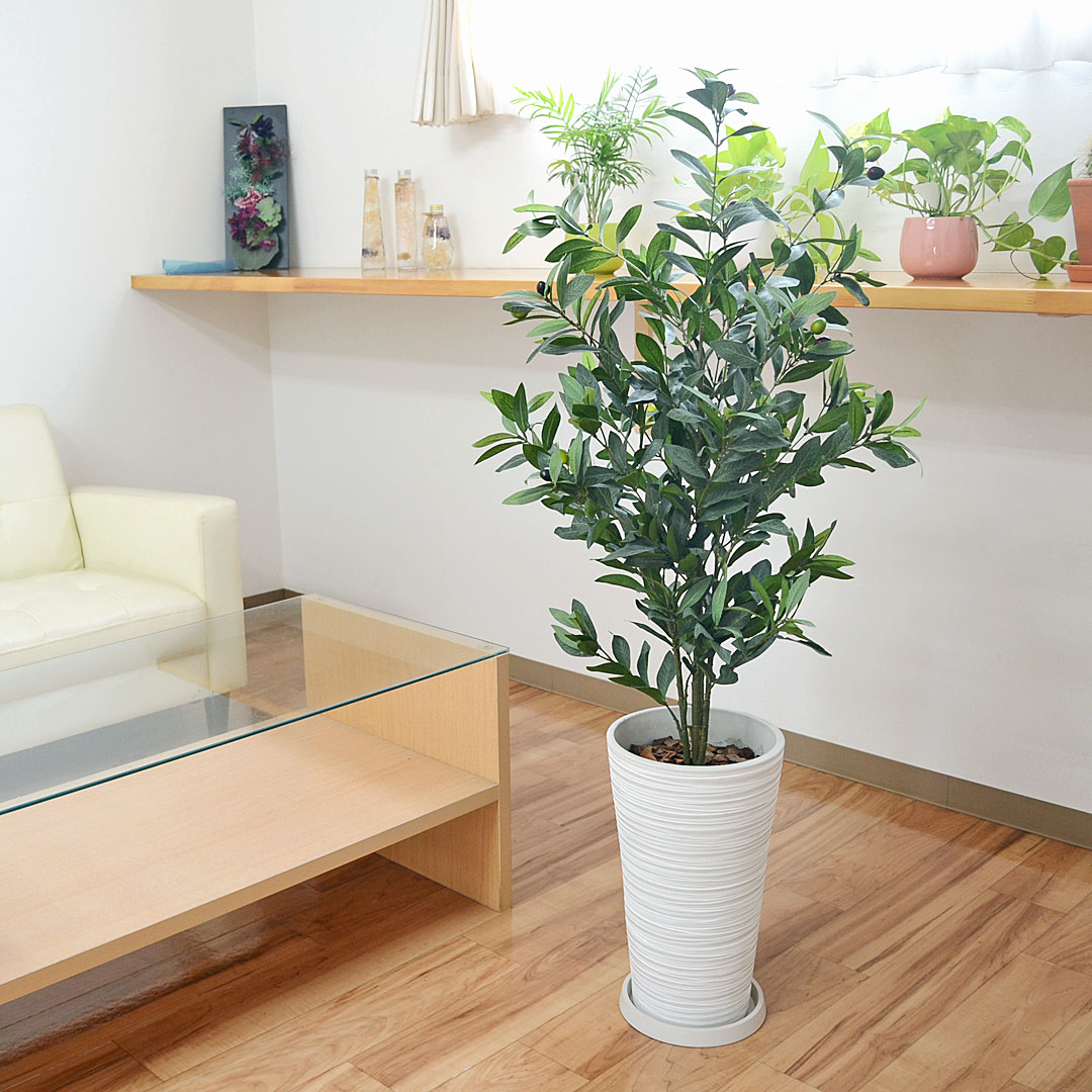 観葉植物の販売・ギフトならフラワーコーポレーション / 人工観葉植物