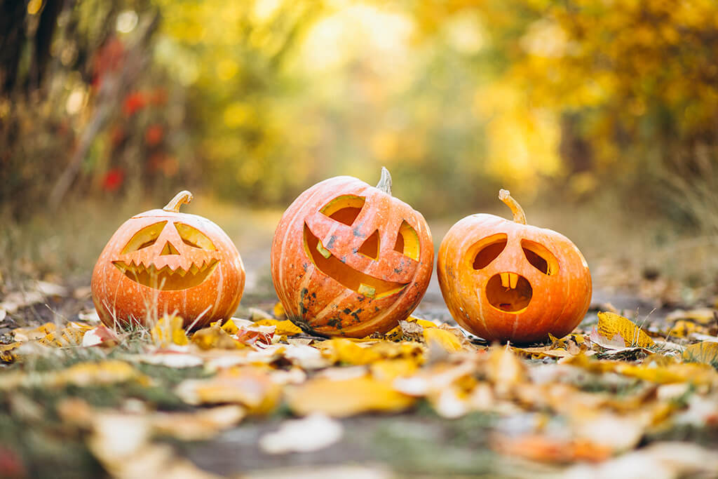ハロウィンのお化けはカボチャじゃなかった？！ – FrantzVoice