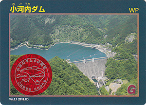 24 | 5月 | 2022 | 数奇なカードコレクター