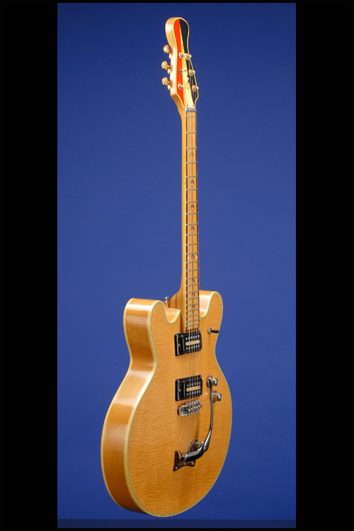 Guitars | Fretted Americana Inc.