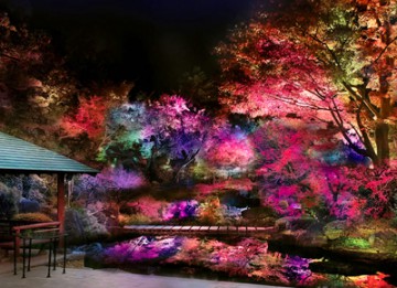 宵闇に染まる、日本庭園の幻想的な世界。古来より伝わる日本の伝統色