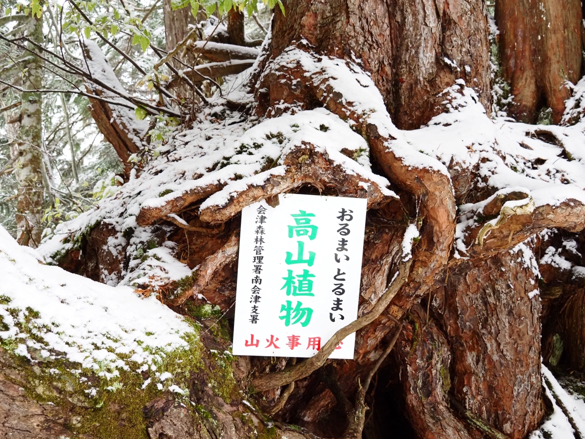 雪の降り始めた尾瀬へ｜まだ知らない尾瀬ストーリー#14 | ランドネ