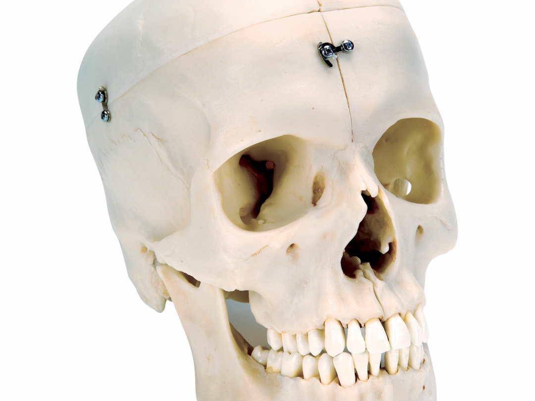 a281-1080x810.jpg