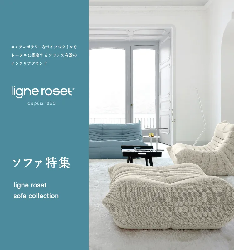 feature_ligne_roset | TWO-ONE STYLEネット