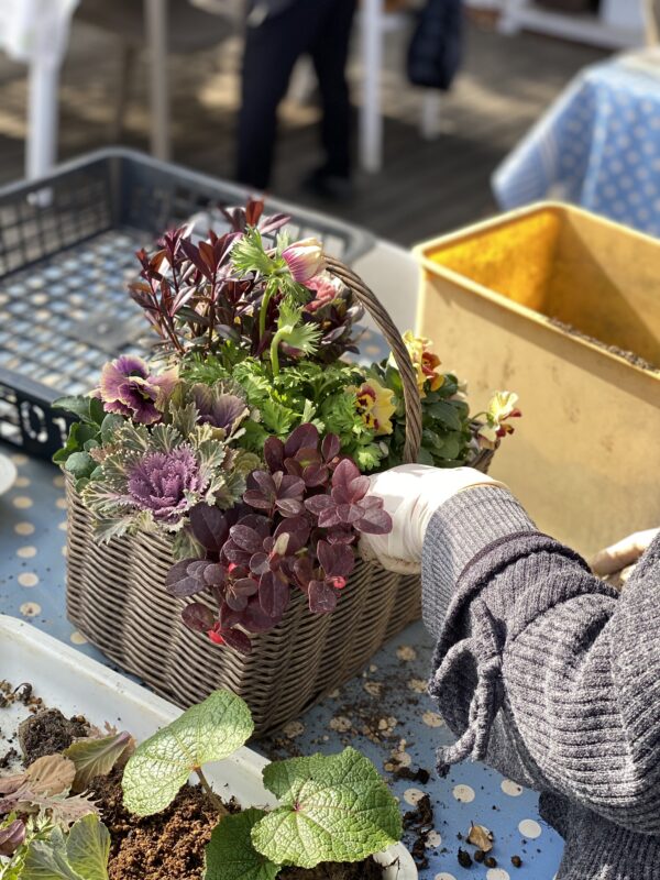 12月の寄せ植え 木曜午前クラス | 寄せ植え倶楽部ブログ