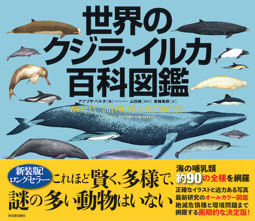 世界のクジラ・イルカ百科図鑑 :アナリサ・ベルタ,山田 格,黒輪 篤嗣