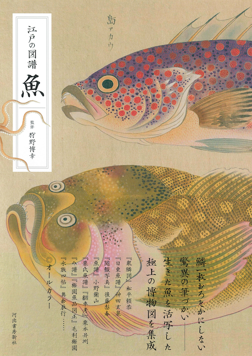 江戸の図譜 魚 :狩野 博幸 | 河出書房新社