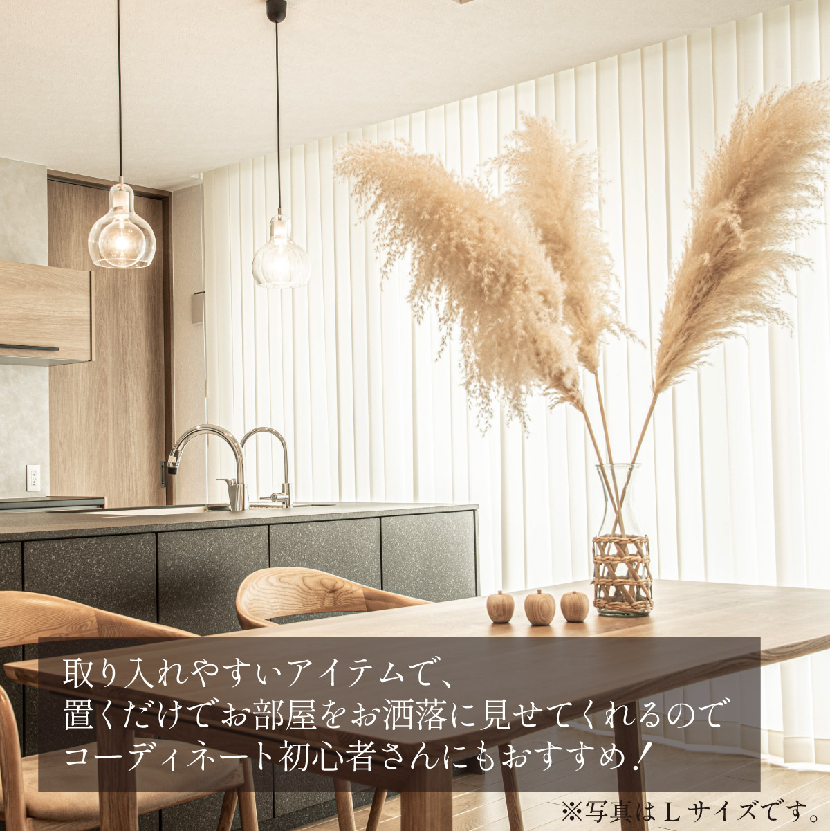 Pampas Grass(パンパスグラス) 特大サイズ 150cm 3本セットの通販情報