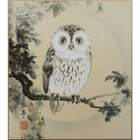 高級色紙「ふくろう（不苦労）」良亭（色紙絵）送料無料 商品詳細