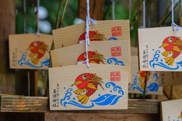 布志名焼雲寅窯 | しまね観光ナビ｜島根県公式観光情報サイト
