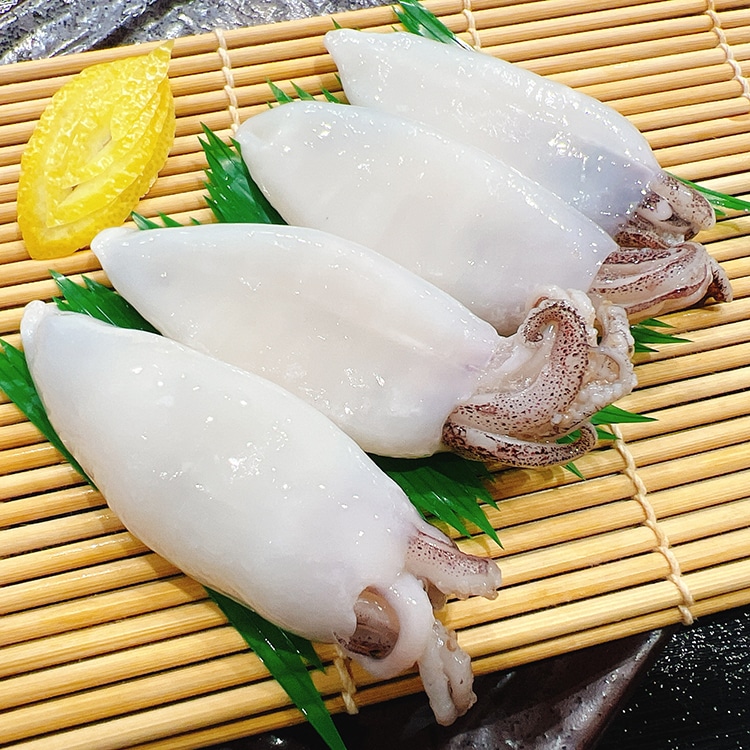 ヤリイカホール クリーン IQF 1KG: 水産品 KANTO EXPRESS