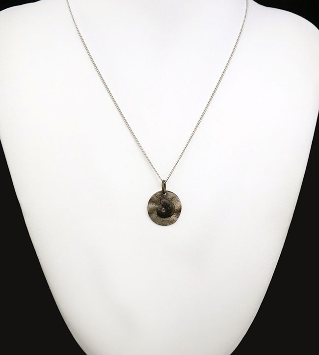 モロッコ産アンモナイト（Ammonite）をあしらった、渋さが際立つ