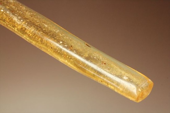 100万年前の樹液が虫を絡め取りつつ化石になりました（虫入りコーパル