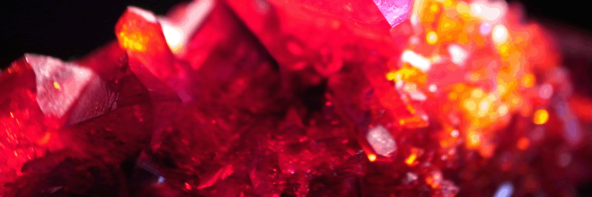 Kenji Kobayashi Exhibition 2019