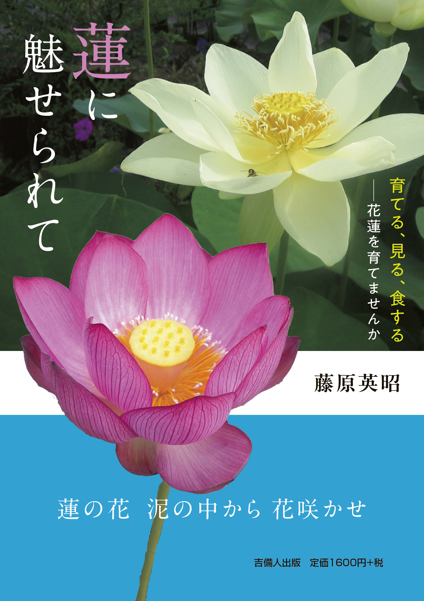 蓮に魅せられて | 岡山の本は吉備人出版