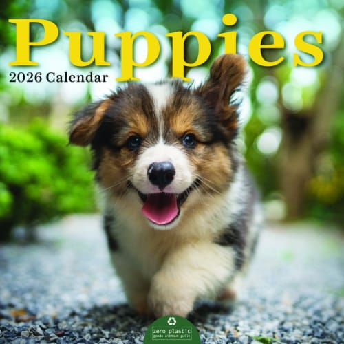 2026 Puppies 12 Month Wall Calendar by TF Publishing, 1 ct