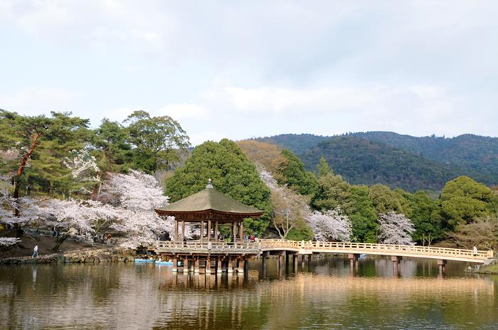 浮見堂 | 奈良県の観光情報まとめサイト NARABURA（奈良ぶら）