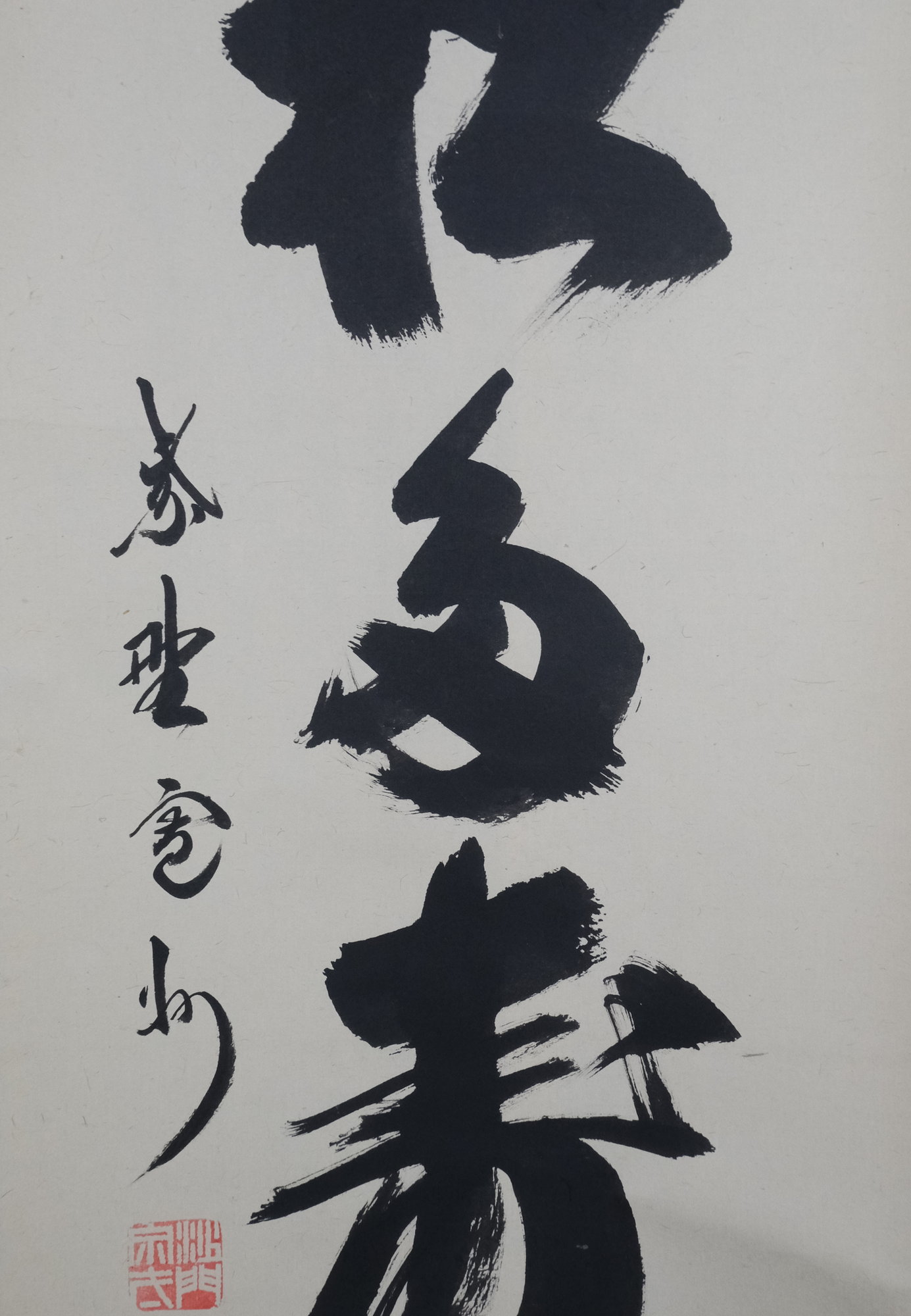 栗山園オンライン通販部 / 【出物】 掛軸 一行「青松多寿色」 長谷川寛州