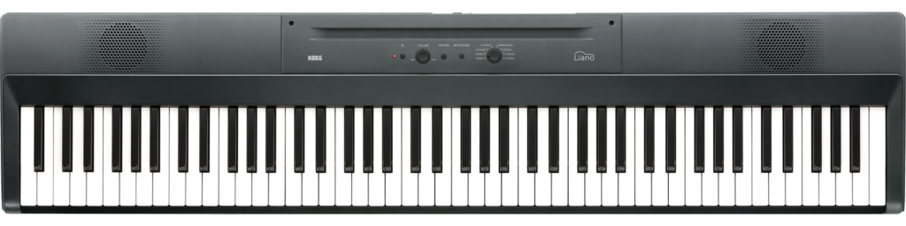 korg-liano-mg-1024x256.png