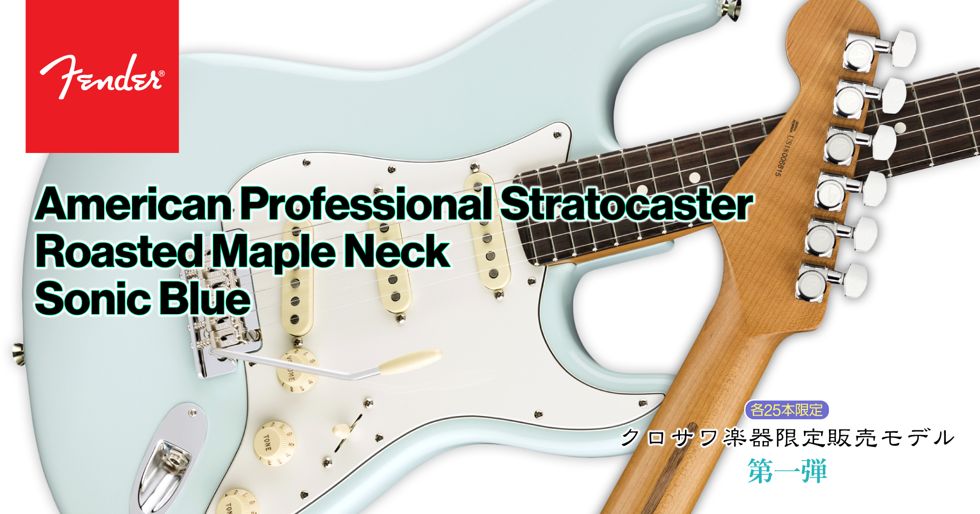 Fender American Professional Stratocaster Roasted Maple Neck Sonic