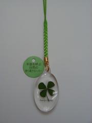 clover_ellipse2-m.jpg