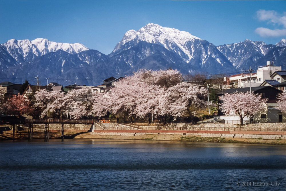 瑞牆山（みずがきやま）：日本百名山・山梨百名山 | 北杜市観光協会