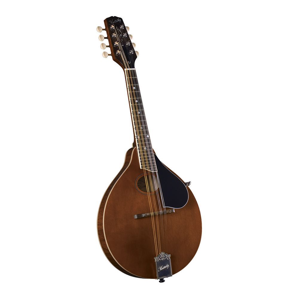 Kentuckyマンドリン再入荷のご案内！ | HOSCO