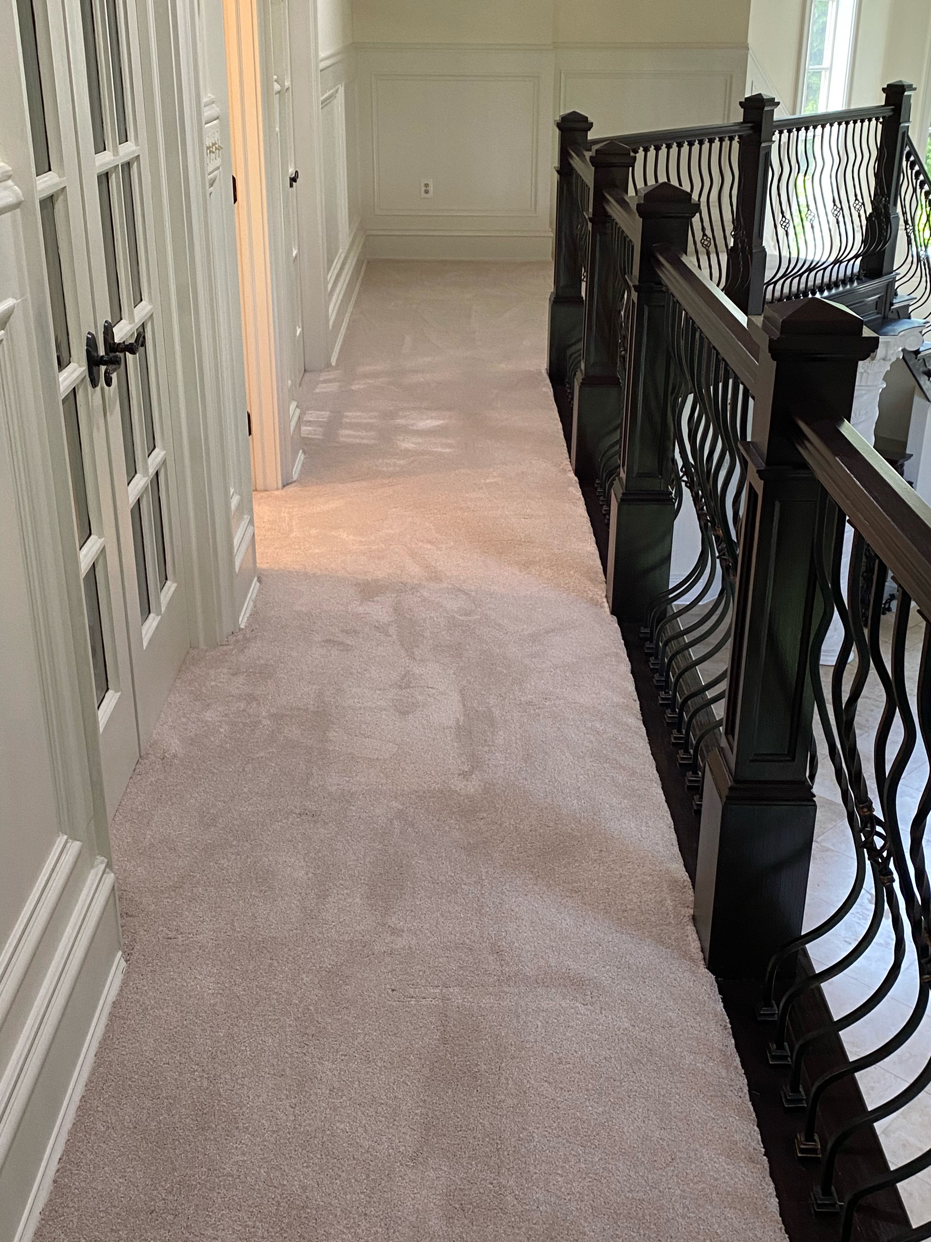 Delicate Tones II in Mohawk Industries Carpet – Havertown Carpet