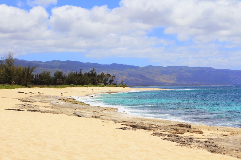 Haleʻiwa Beach Park, Oʻahu Hawaiʻi » 2026