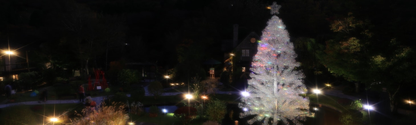 クリスマス特集-2025 | 箱根ガラスの森美術館 | ヴェネチアン・グラス