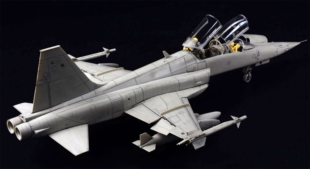1/32 エアモデル F-5F タイガー 2 KITTY HAWK (キティホーク)