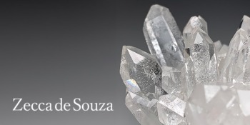 cat_zeccadesouza--350x175.jpg