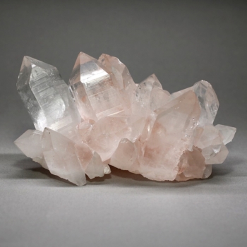 mnhc-p14is01-350x350.jpg