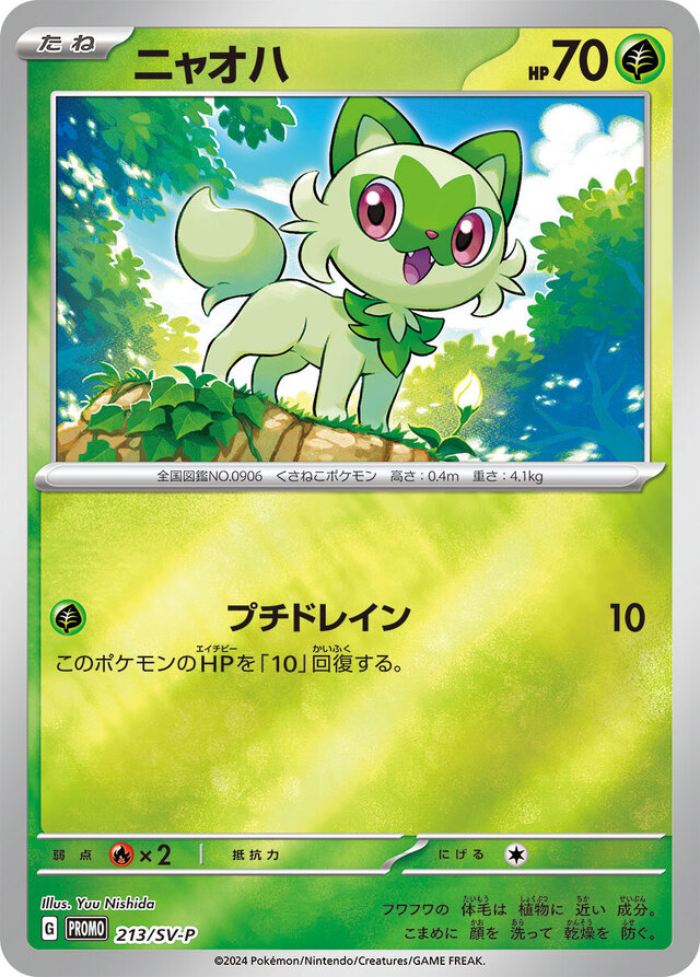 プロモのピカチュウがとにかく可愛い！全6種の“夏ポケカ”キャンペーン