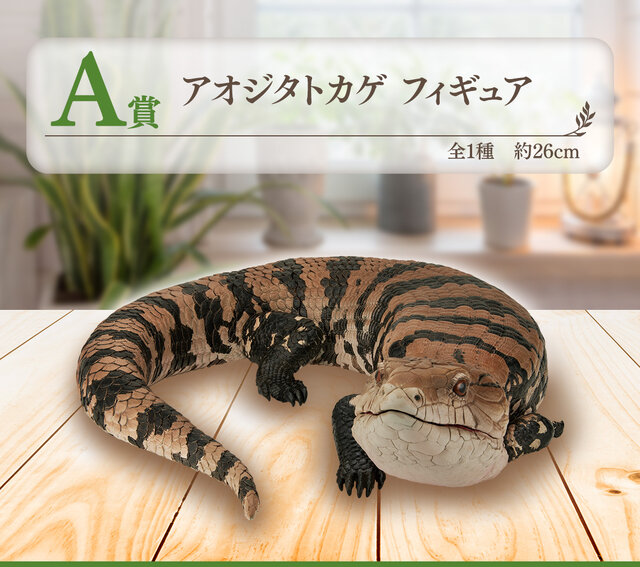 リアルで可愛い「一番くじ 爬虫類＆両生類」第2弾の全ラインナップ公開