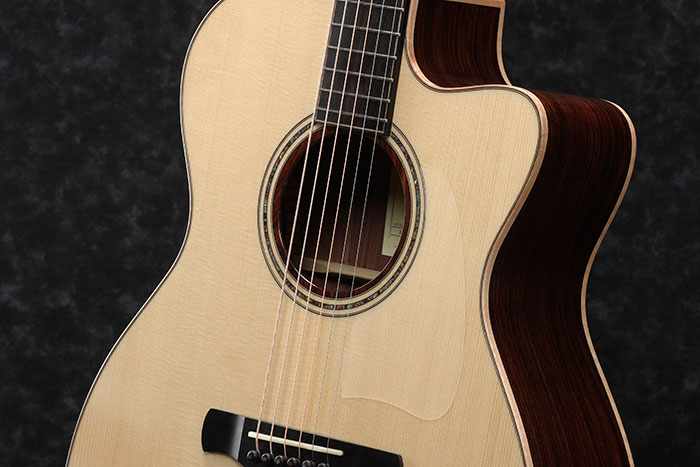 Ibanez Fingerstyle Collection | NEWS | Ibanez guitars - アイバニーズ