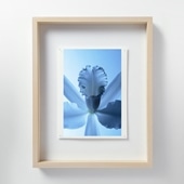 定番品】山口一郎 「HANA-green」｜ポスター｜IDEE SHOP Online