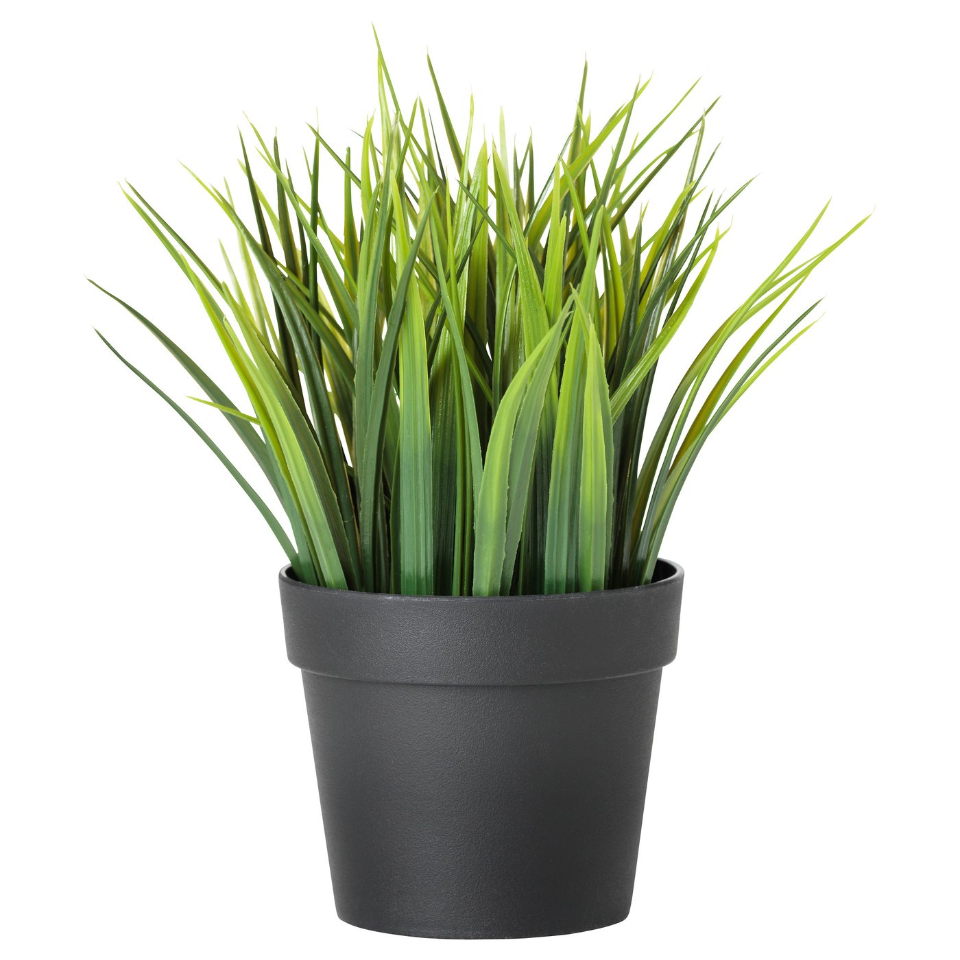 FEJKA フェイカ 人工観葉植物, 室内/屋外用 グラス, 9 cm - IKEA