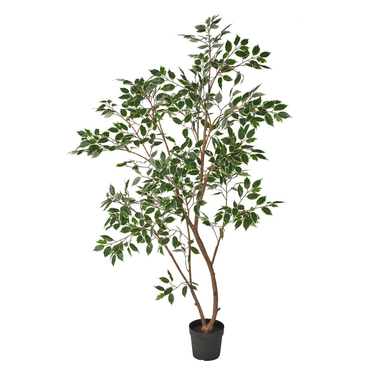 FEJKA フェイカ 人工観葉植物, 室内/屋外用/ベンジャミン, 23 cm - IKEA