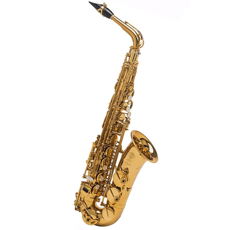 Selmer Paris アルトサックス セルマー Signature シグネチャー DARK