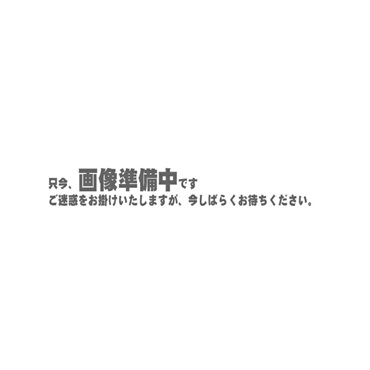 Marcinkiewicz マーシンキウィッツ / Claude Gordon モデル CG20
