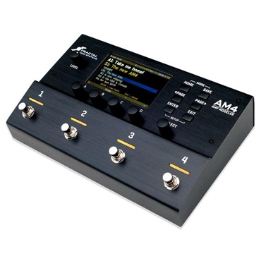 FRACTAL AUDIO SYSTEMS FM9 MARK II TURBO（フラクタル オーディオ